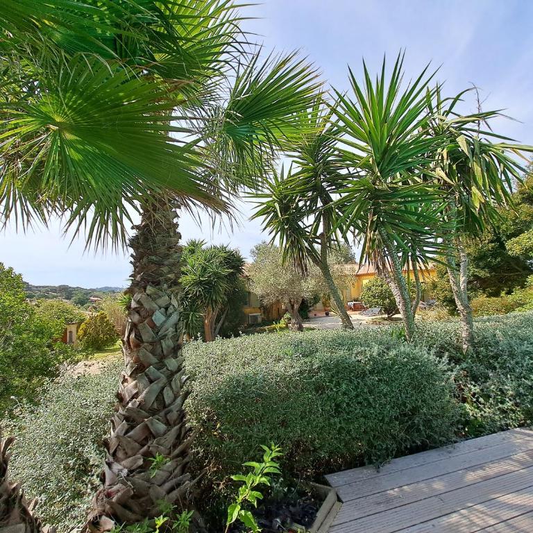 Rez de jardin villa independant Presqu'ile de Giens - Apartment - 36