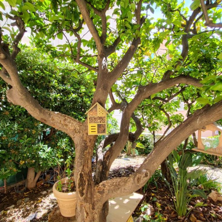 Super Flat, Garden. Bnbrickeys - Two-Bedroom Apartment - 18
