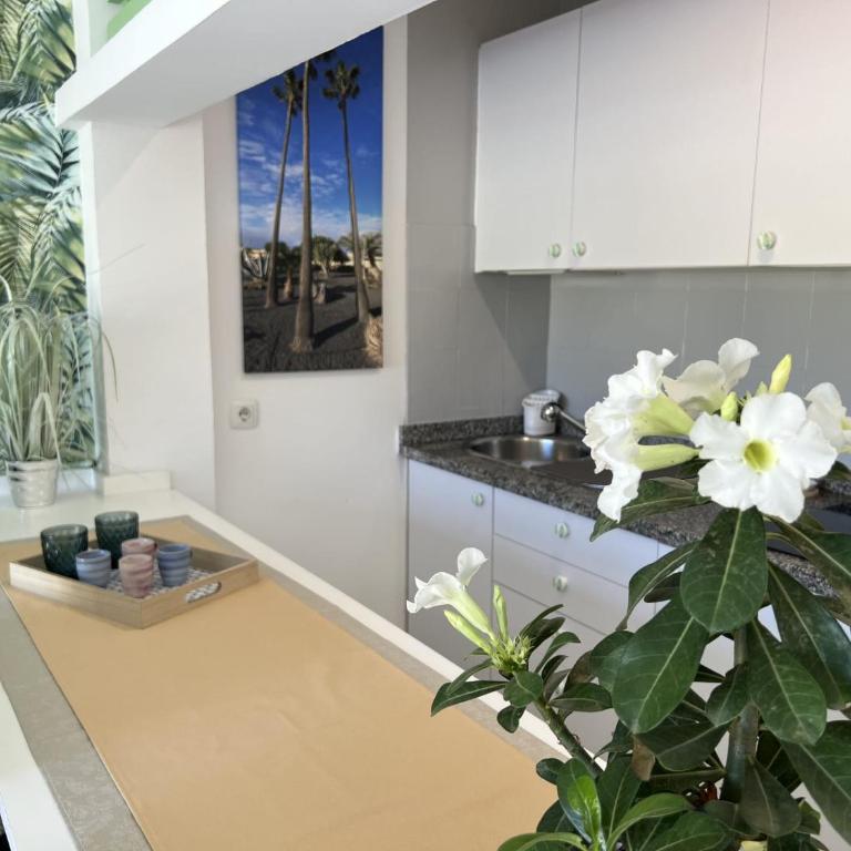 Corralejo Atlantic Garden Andrew apartments Pool air conditioning - Casa con 1 dormitorio - 36