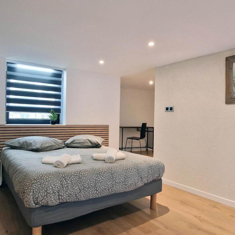 Très joli loft au cœur de Nice - Appartement 1 Chambre - 7