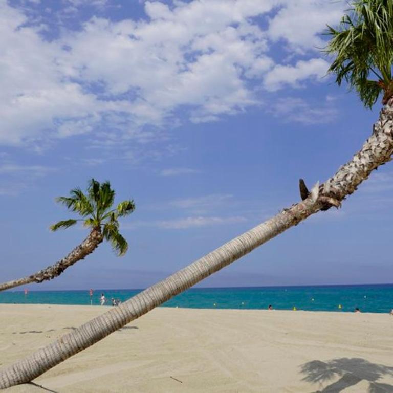 appartement 4 pers 50 m plage 4B237 - Apartment mit 1 Schlafzimmer - 17