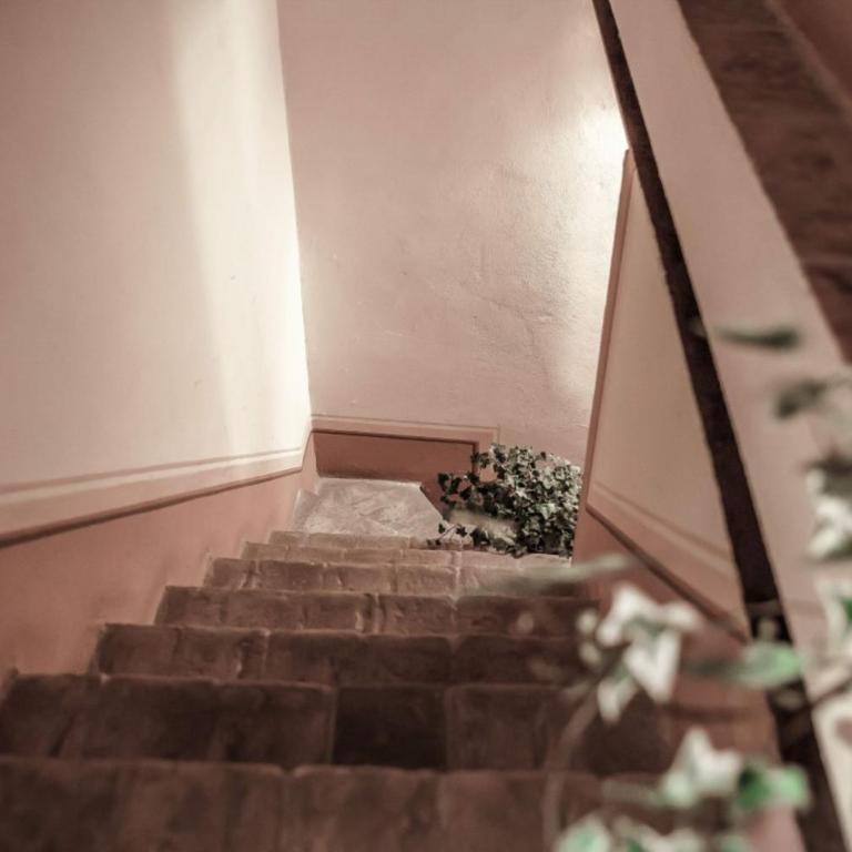Fattoria Guicciardini - Apartment - 3