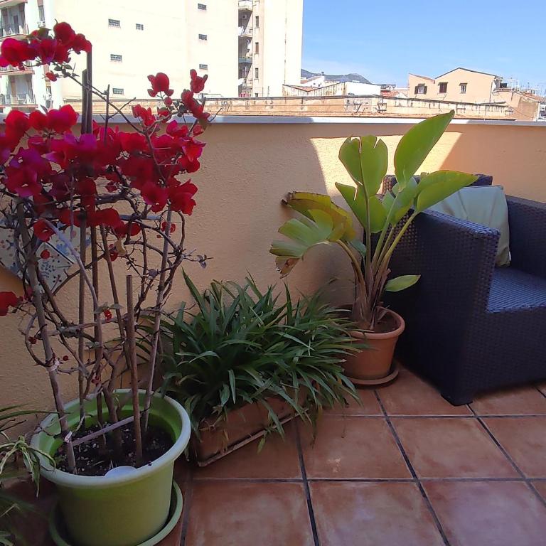 Attico Finocchiaro - Terrazza in Centro Wifi Free - Appartamento con Terrazza - 6