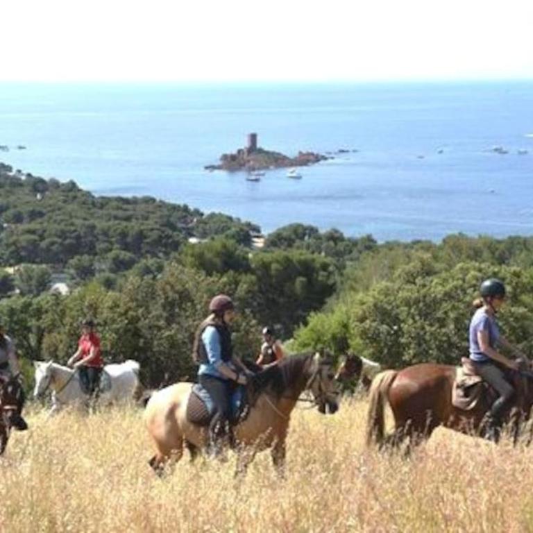 Dans un cadre d'exception, Vue mer panoramique à Agay Côte d'Azur, Village Vacances Cap Esterel, 2 chambres, avec jardin, golf, climatisation, Wifi, 5 piscines - Appartement - Vue sur Mer - 50