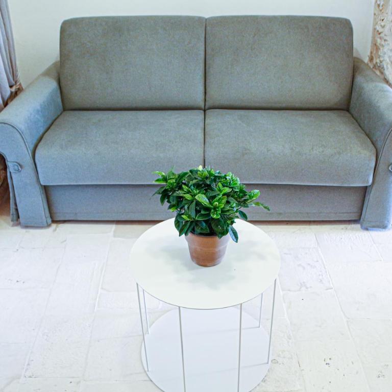 AGROSILENTE - Junior Suite - 20