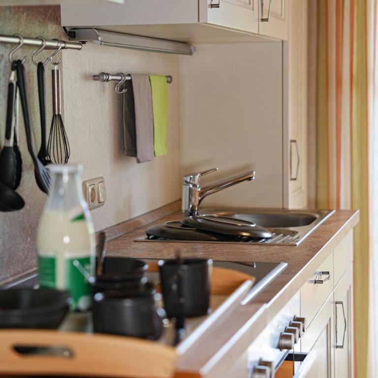 Gästehaus Almblick - Apartamento con ducha - 9