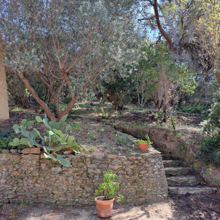 BASTIDE PRESQU ILE DE GIENS SUPERBE VUE MER PISCINE - Villa - 51