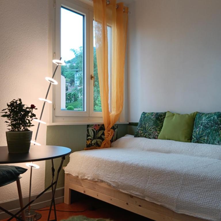 La plus belle vue du lac Léman - Budget Doppelzimmer - 15