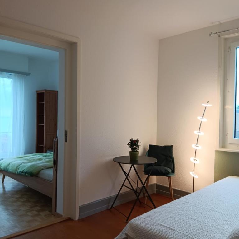 La plus belle vue du lac Léman - Budget Doppelzimmer - 16