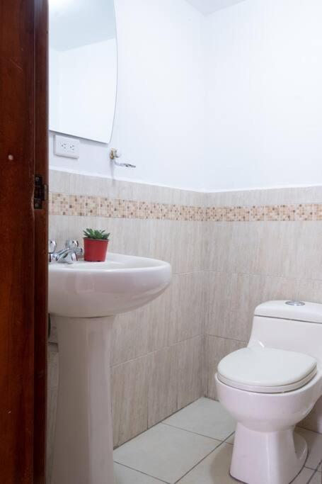 Cozy & Spacious House-Near the Centro - Villa - 3