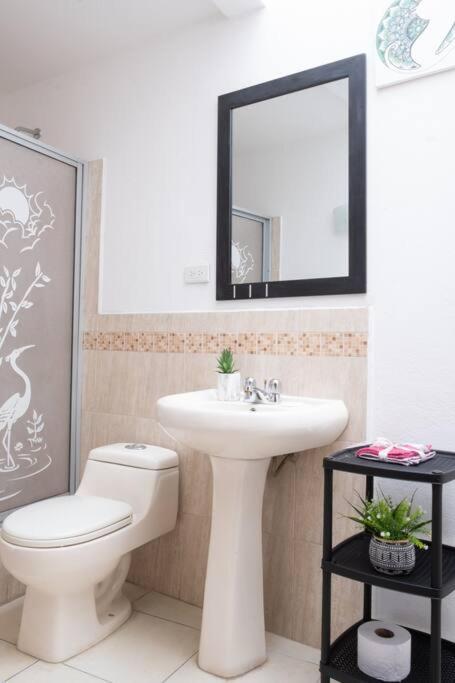 Cozy & Spacious House-Near the Centro - Villa - 14