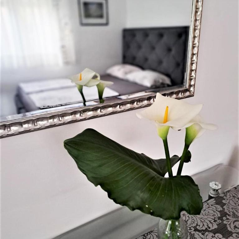 Montenegro Smile - One-Bedroom Apartment with Garden View - 2