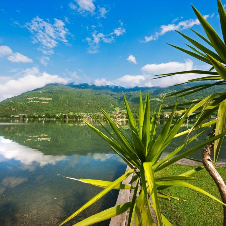 Luxury Lakeview Apartment 19 I Gerlitzen-Ossiachersee I Alpe Maritima - Two-Bedroom Apartment - 37