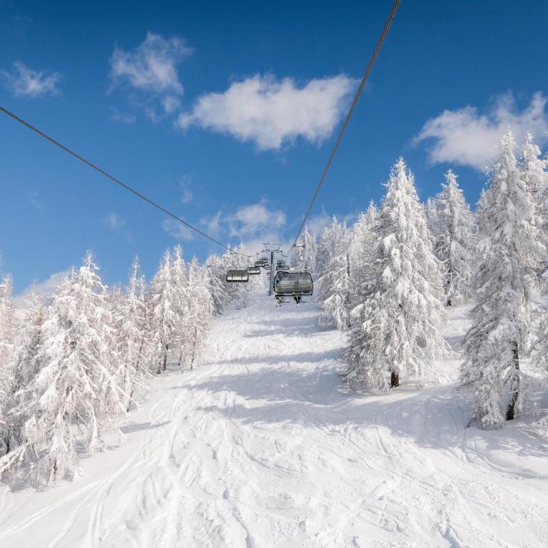 Luxury Lakeview Apartment 19 I Gerlitzen-Ossiachersee I Alpe Maritima - Two-Bedroom Apartment - 41