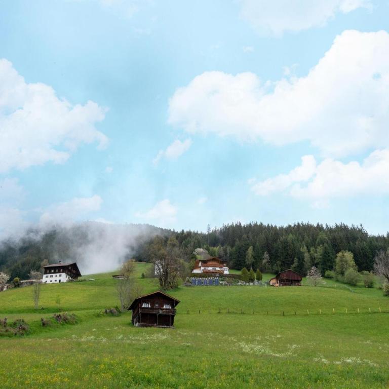 Chalet in Gattererberg near Ski Slopes - Apartment mit 3 Schlafzimmern - 28