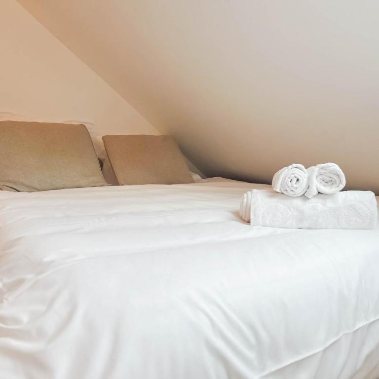 Long island, rue carnot proche lac - Maisonette-Apartment - 30