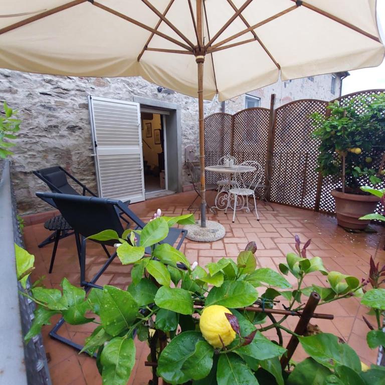 Casina Laura - Villa con 1 Camera da Letto - 3