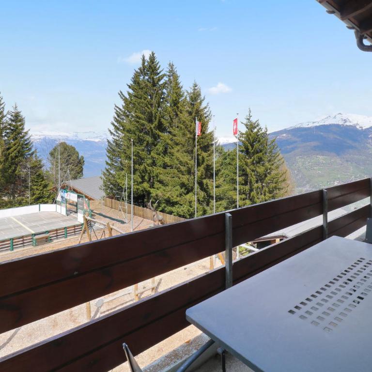 Magnifique appartement au coeur des 4 Vallées - Appartamento con 1 Camera da Letto - 28