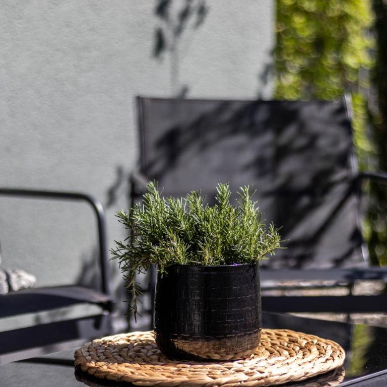 Mali Apartments Garden Suite - Appartamento con Vista Giardino - 49