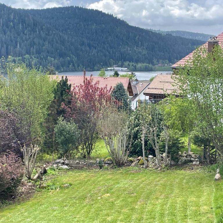 Le Chalet de Juliette - Chalet - 46