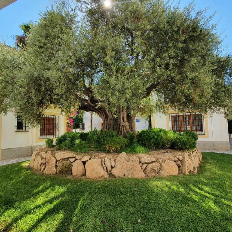La Sirena - Apartamento de 1 dormitorio - 29