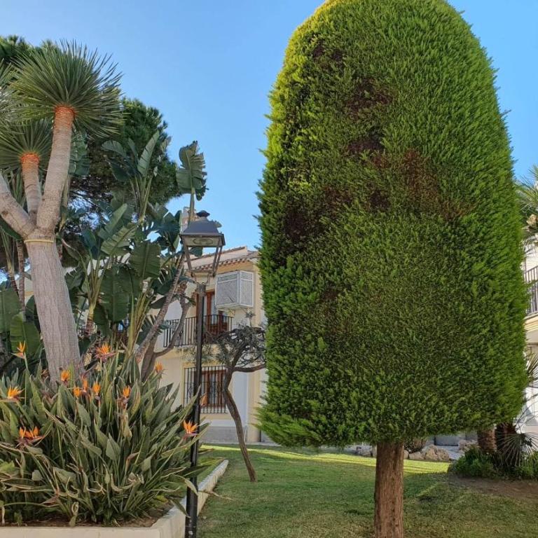La Sirena - Apartamento de 1 dormitorio - 30