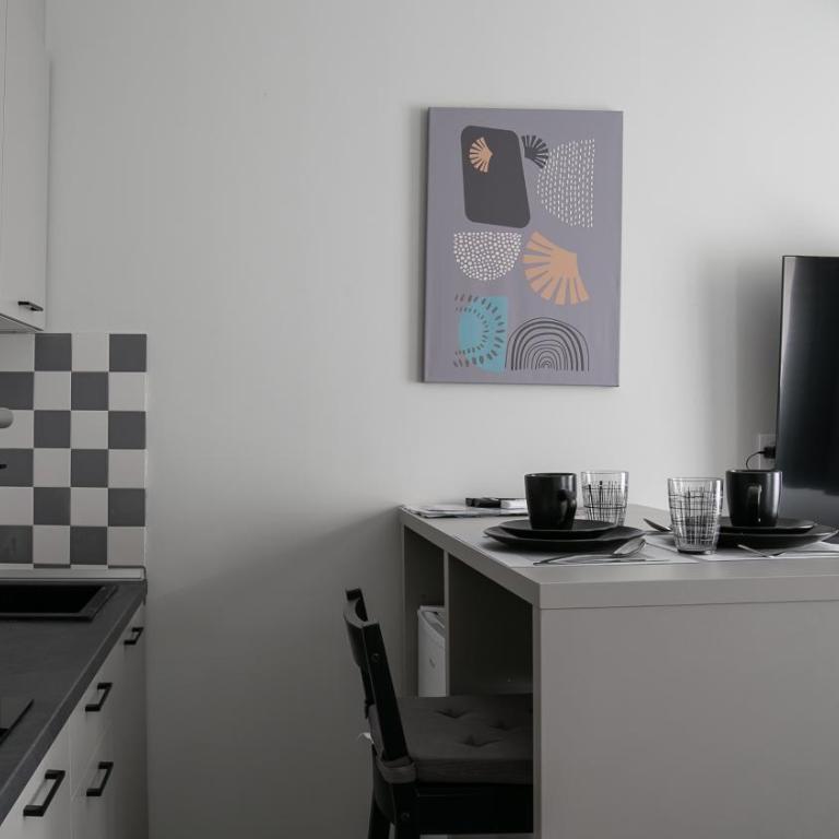 Apartments Srbija Waterfront - FREE PARKING - Standard Studio with Free Parking - 4