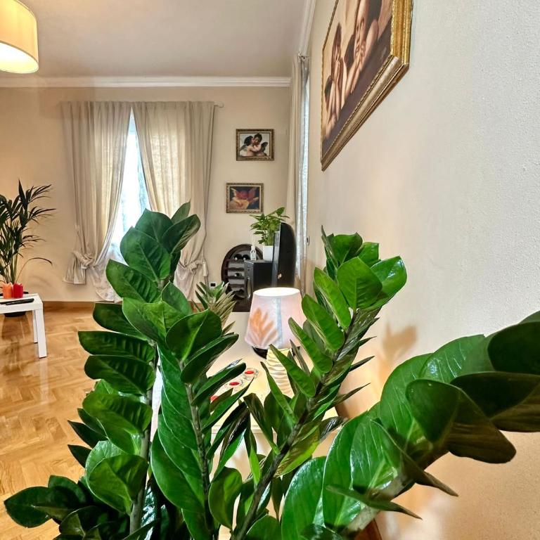 Lovely Lucca [free parking] - Appartamento - 12