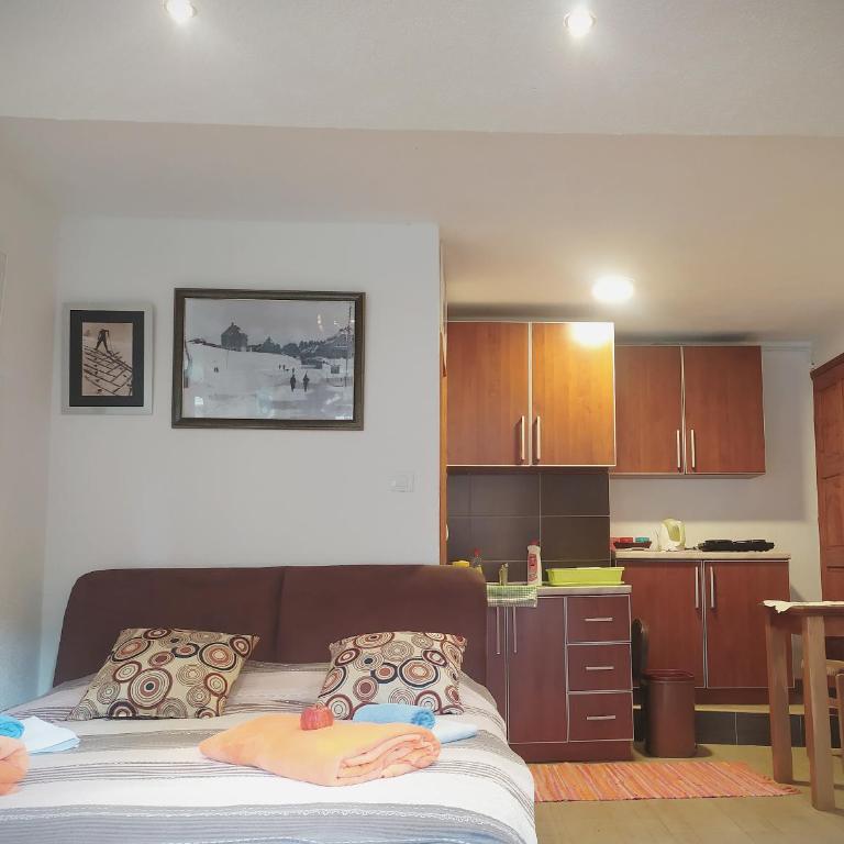 Summit Apartment - Studio Apartment - 11