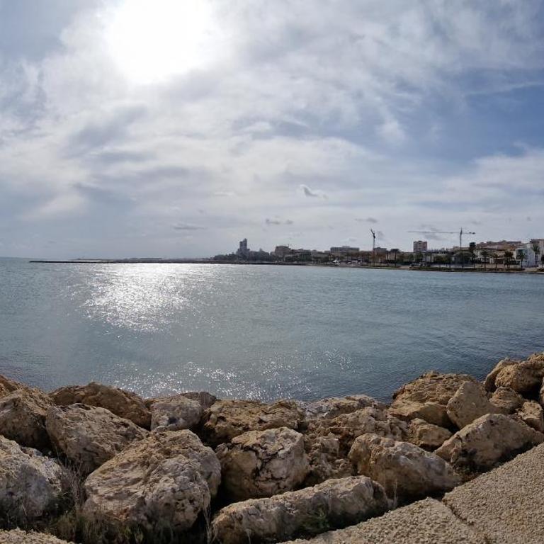 PalmeraV - Apartamento de 2 dormitorios - 15