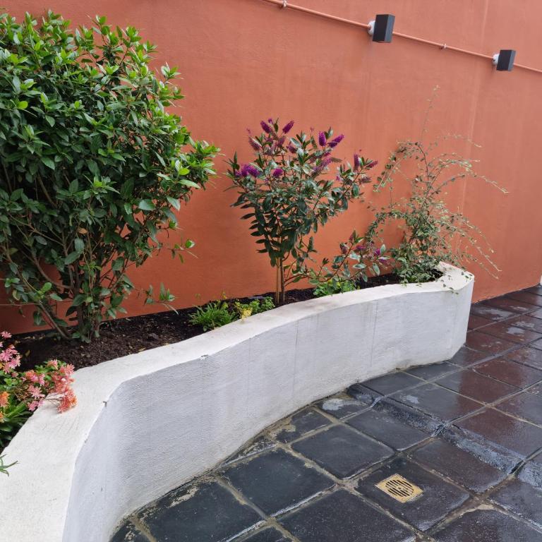 Isla Bonita Suites - Apartamento - Planta baja - 8