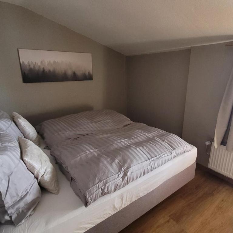 Haus Grübl - Appartement 1 Chambre avec Balcon - 9