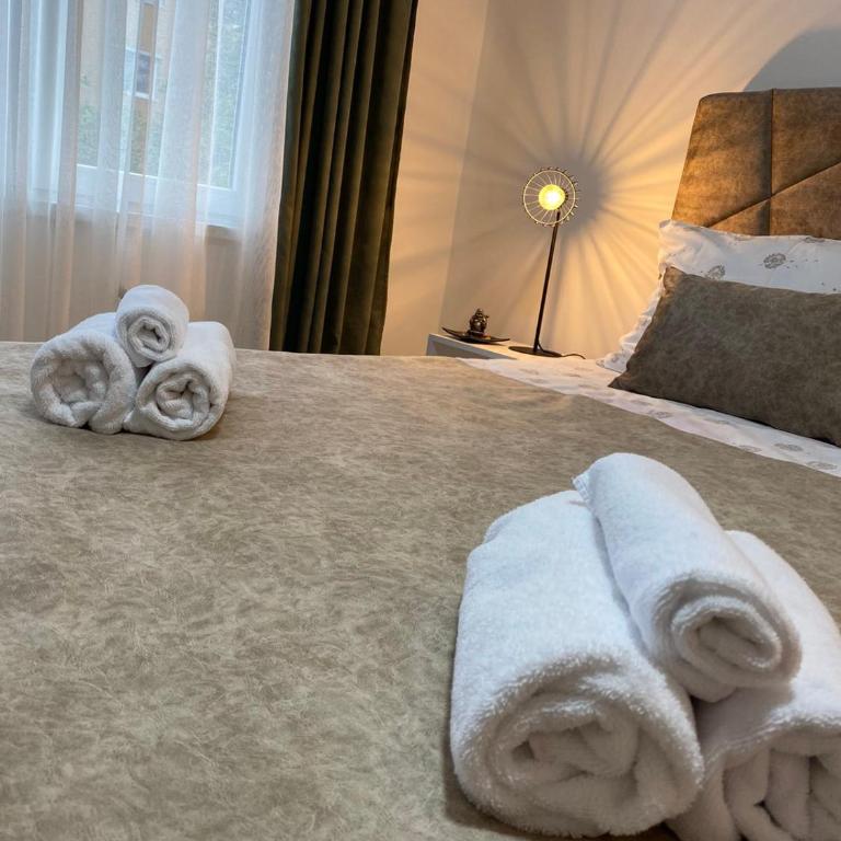 Sunrise Sarajevo - Apartman sa 1 Spavaćom Sobom - 15