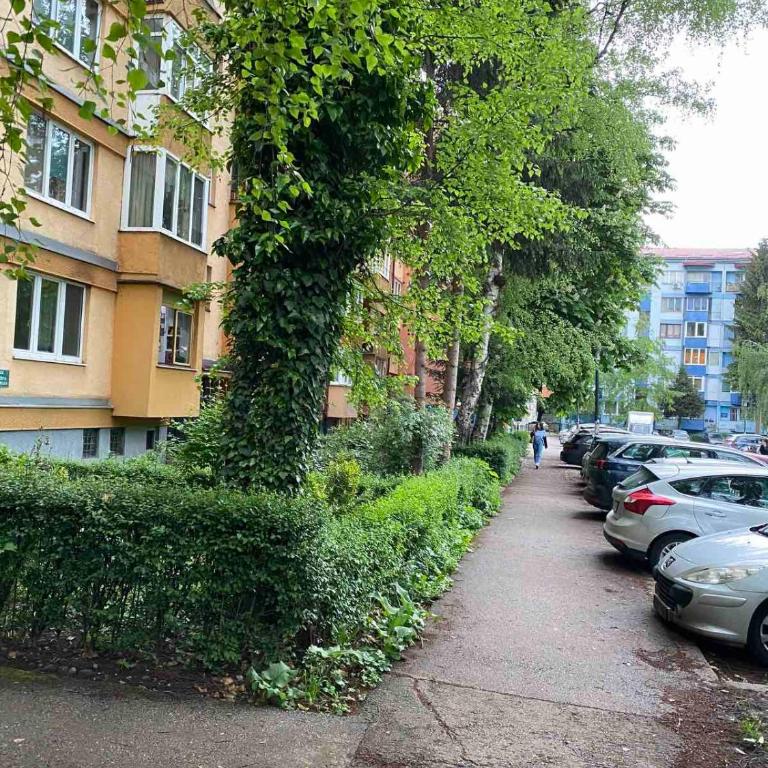 Sunrise Sarajevo - Apartman sa 1 Spavaćom Sobom - 22