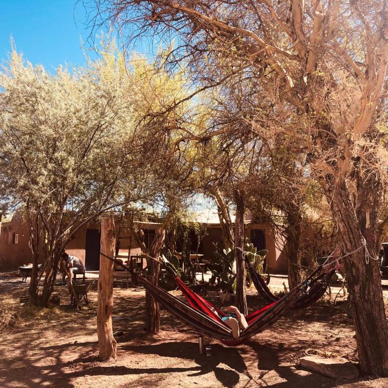 Refugio Andino con vista al volcán. - Casa de 3 dormitorios - 9