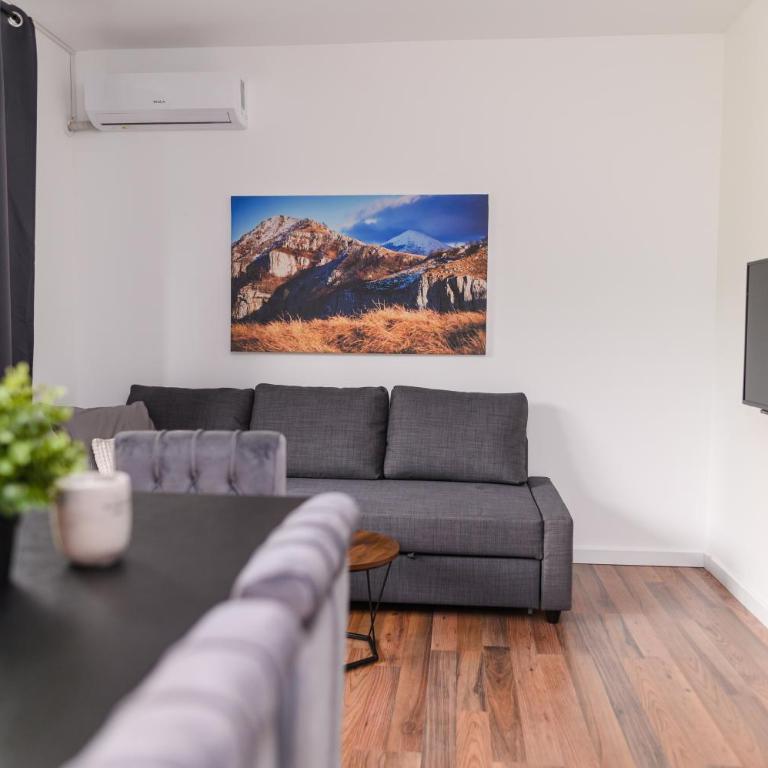 Apartmani ZAT - Apartman sa 1 Spavaćom Sobom - 19