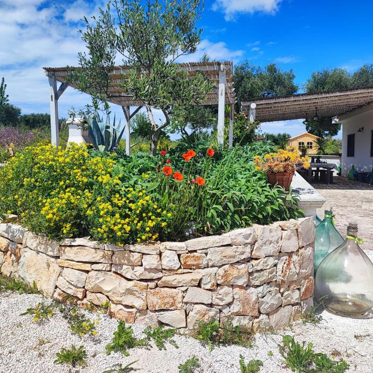 Trullo il Zippo in Zippitello - Casa con 3 Camere da Letto - 19