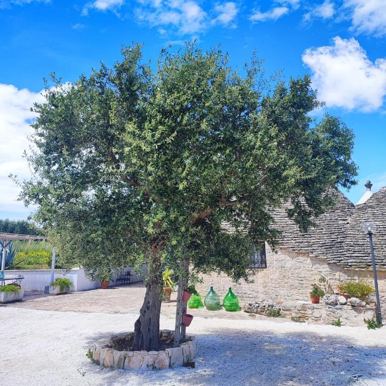 Trullo il Zippo in Zippitello - Casa con 3 Camere da Letto - 20