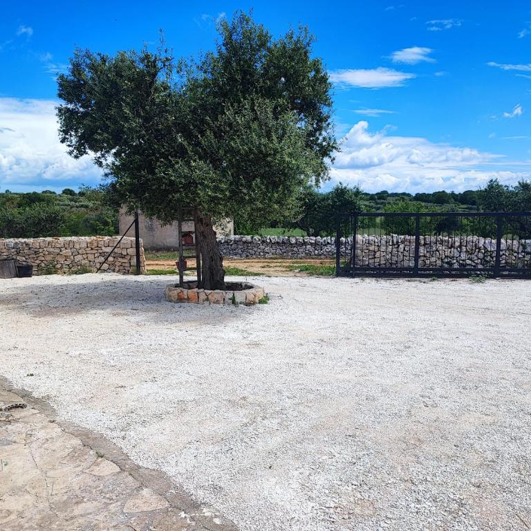 Trullo il Zippo in Zippitello - Casa con 3 Camere da Letto - 22
