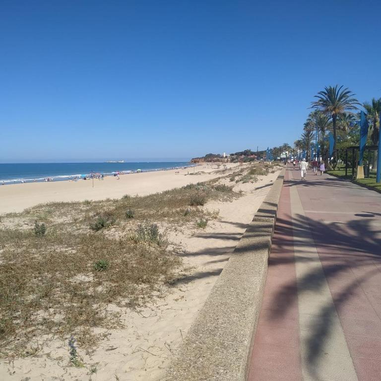 La Barrosa duplex - Casa de 2 dormitorios - 66