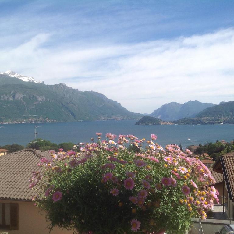 Appartamento Arancione - Apartment with Lake View - 4