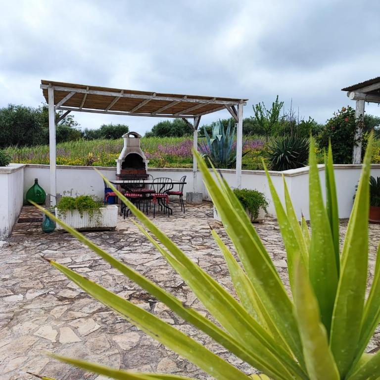 Trullo il Zippo in Zippitello - Casa con 3 Camere da Letto - 66