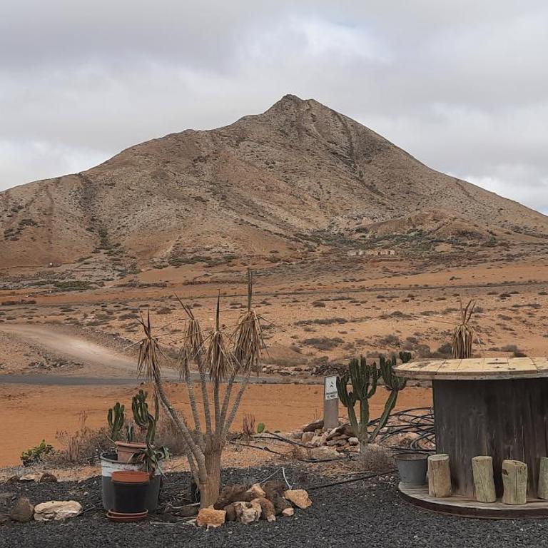 Dos Gatos Fuertaventura - Two-Bedroom House - 5