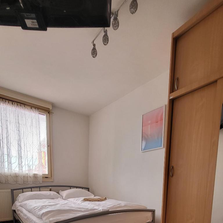 Apartman Sky-Parking-Garage - Apartman sa 2 Spavaće Sobe - 18