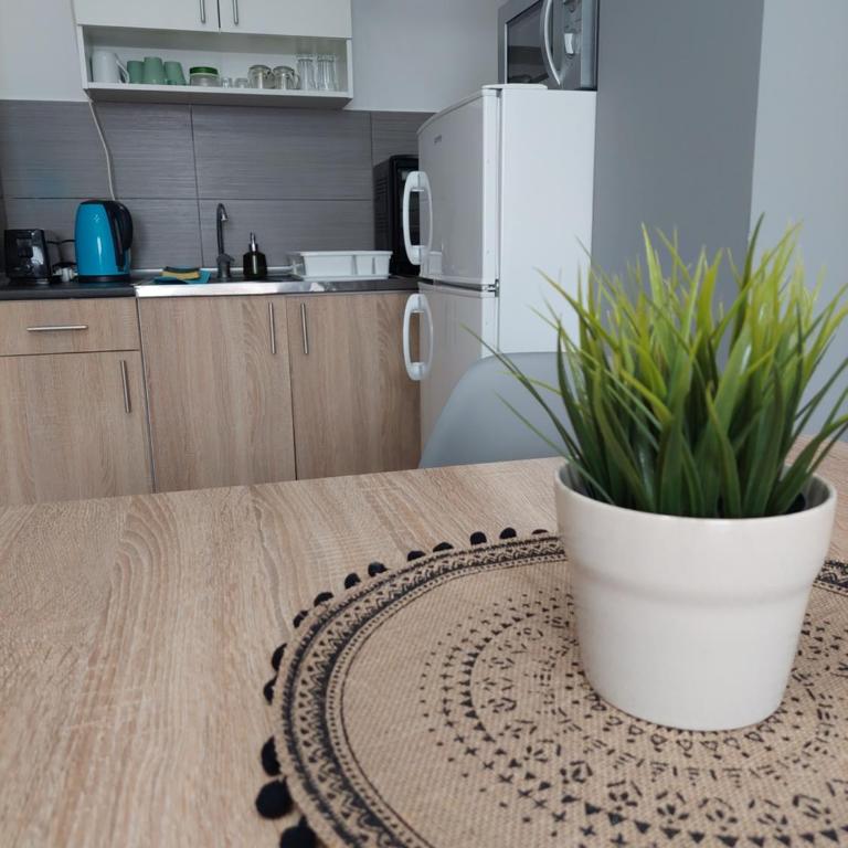 Smiley - Subotica Centar - Apartment - 13