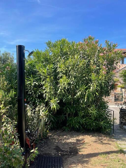 Alba Apartment - San Teodoro - Appartamento con 2 Camere da Letto - 9