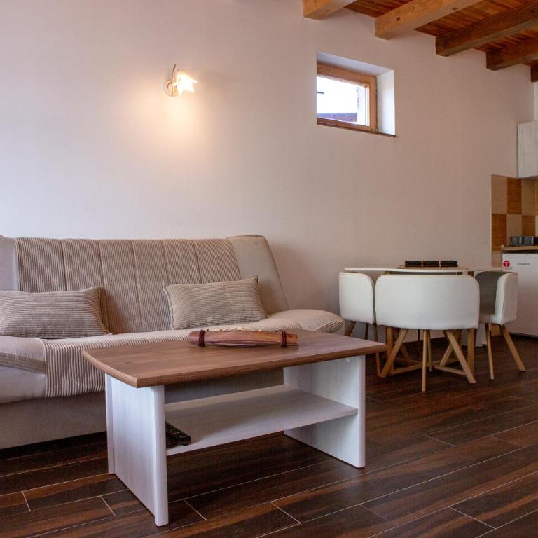 Monte Durmitor - Studio with Terrace - 13