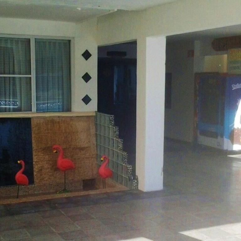 Salvia Condominio - Studio Apartment with Sea View - 83
