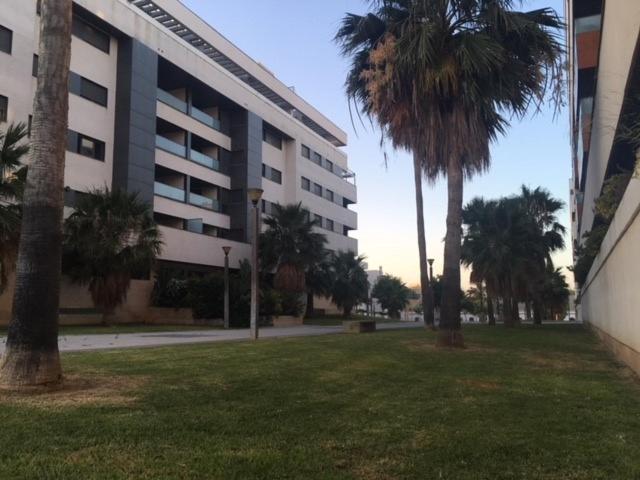 GATU PREMIUM El Viñedo, centro, parking, aire acc, terraza, piscina comun" Preferente mayores de 25 años y familias " - Apartamento con terraza - 8