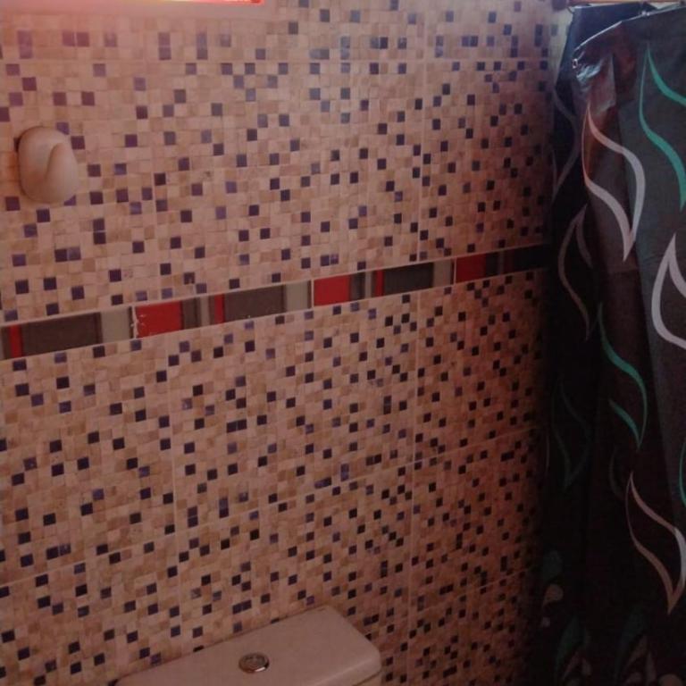 ALQUILER POR DIA EN MALARGUE MUY CENTRICO - Apartamento de 1 dormitorio - 5